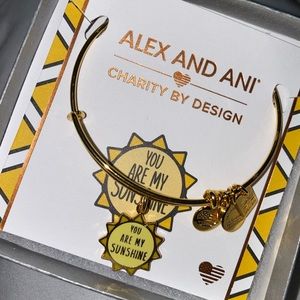 Alex and Ani Bangle Bracelet